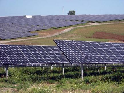 Soarele, în priză: Primul parc fotovoltaic din Bihor se va construi la Oşorhei